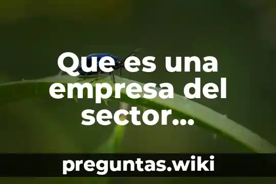 Que es una empresa del sector productivo