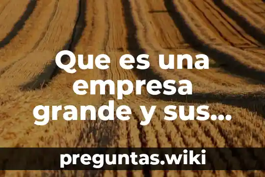Que es una empresa grande y sus caracteristicas