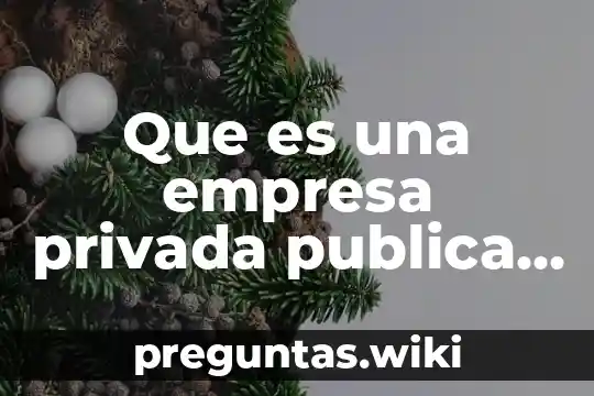 Que es una empresa privada publica y mixta