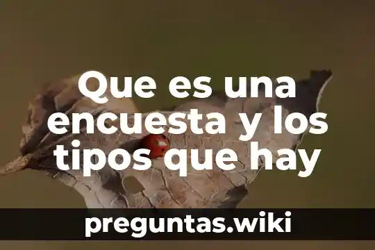Que es una encuesta y los tipos que hay