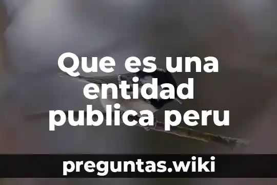Que es una entidad publica peru