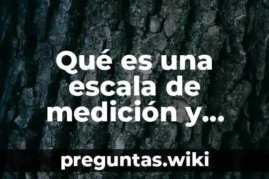 Qué es una escala de medición y cuáles son