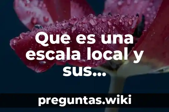 Que es una escala local y sus caracteristicas