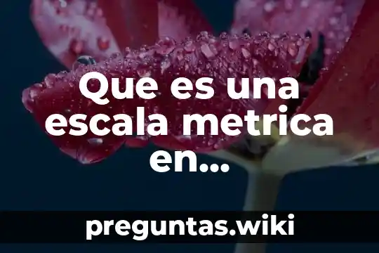 Que es una escala metrica en arquitectura