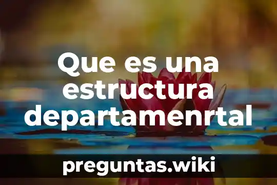 Que es una estructura departamenrtal