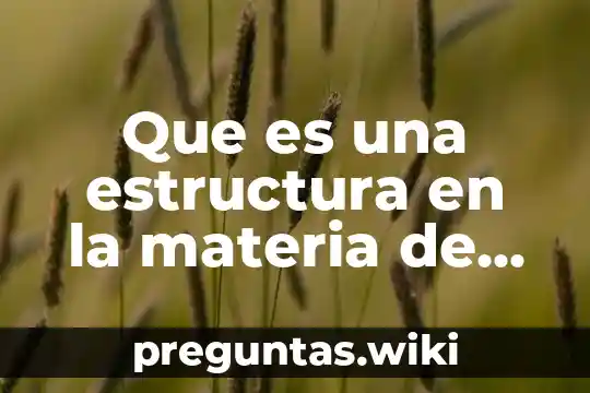 Que es una estructura en la materia de español