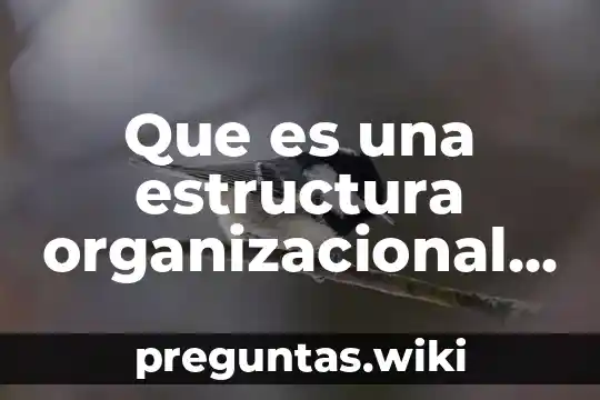 Que es una estructura organizacional de una universidad