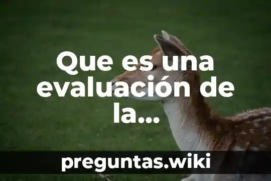 Que es una evaluación de la identificación del proyecto
