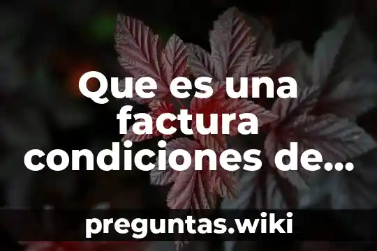 Que es una factura condiciones de pago