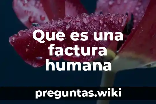 Que es una factura humana