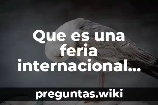 Que es una feria internacional promexico