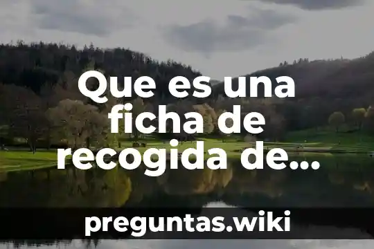 Que es una ficha de recogida de información docente