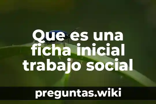 Que es una ficha inicial trabajo social