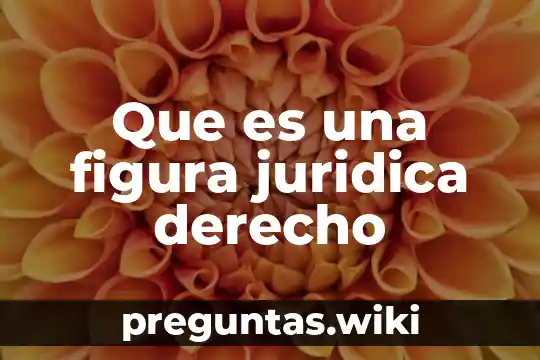 Que es una figura juridica derecho