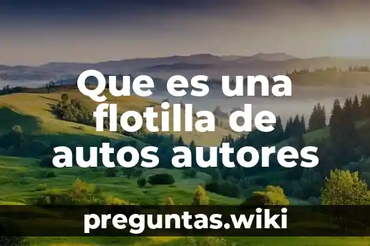 Que es una flotilla de autos autores