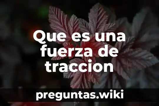 Que es una fuerza de traccion