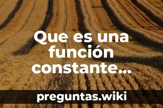 Que es una función constante ejemplo