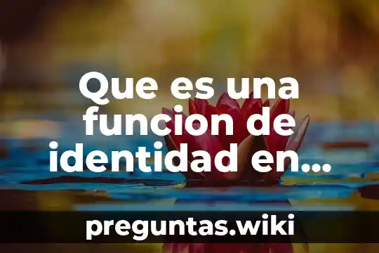 Que es una funcion de identidad en matemáticas