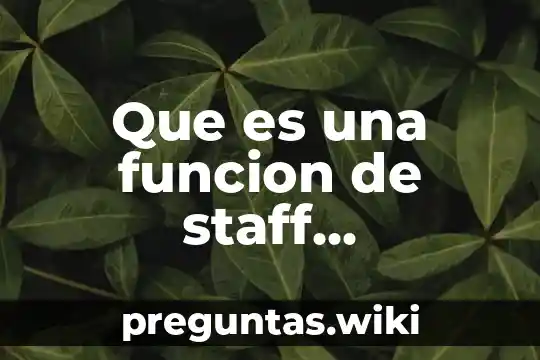 Que es una funcion de staff organizacion