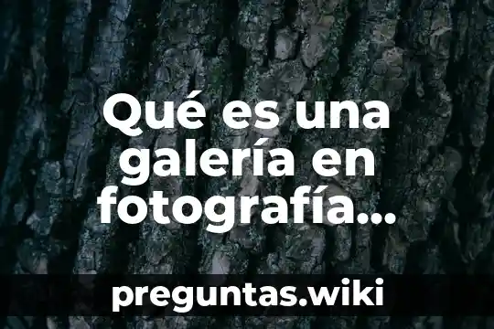 Qué es una galería en fotografía concepto