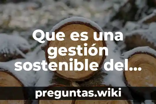 Que es una gestión sostenible del agua