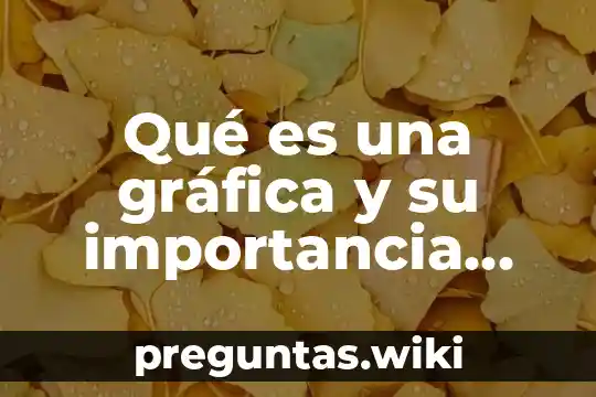Qué es una gráfica y su importancia concepto