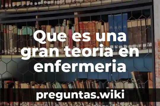 Que es una gran teoria en enfermeria