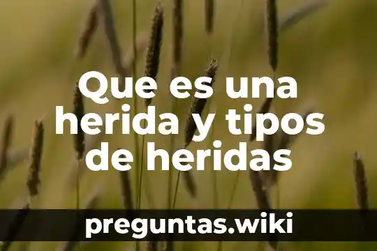 Que es una herida y tipos de heridas