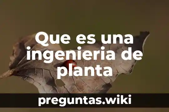 Que es una ingenieria de planta
