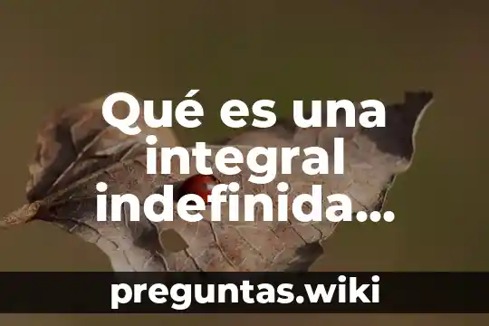 Qué es una integral indefinida concepto