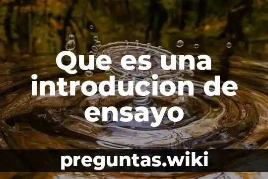 Que es una introducion de ensayo