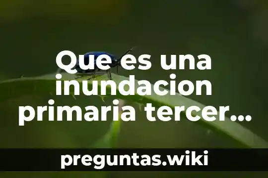 Que es una inundacion primaria tercer grado