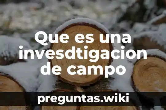 Que es una invesdtigacion de campo