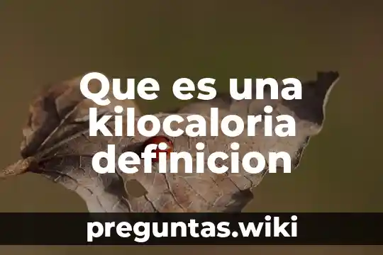 Que es una kilocaloria definicion