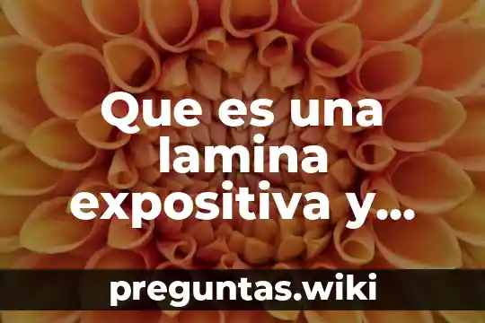 Que es una lamina expositiva y tipos de laminas