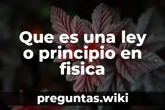 Que es una ley o principio en fisica