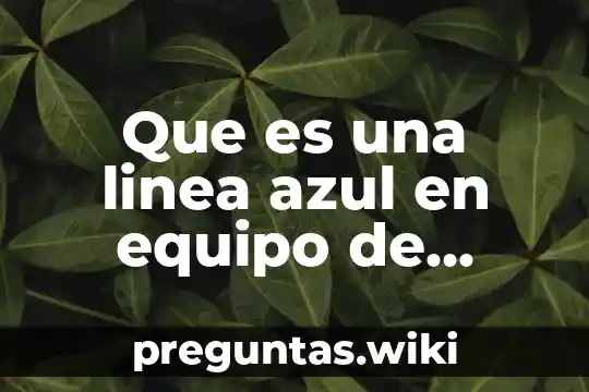Que es una linea azul en equipo de computo