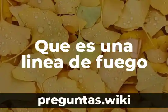 Que es una linea de fuego
