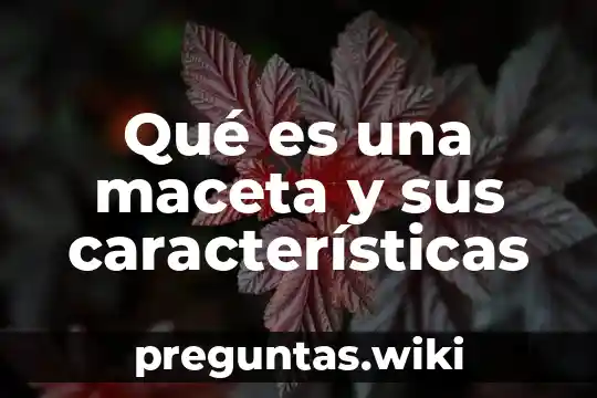 Qué es una maceta y sus características