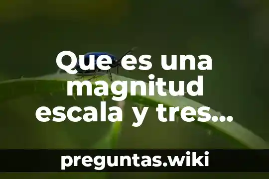Que es una magnitud escala y tres ejemplos