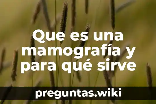 Que es una mamografía y para qué sirve