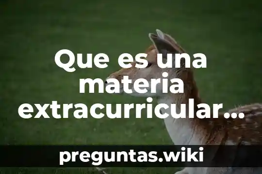 Que es una materia extracurricular en uam