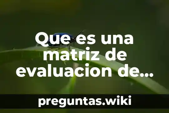 Que es una matriz de evaluacion de impacto ambiental