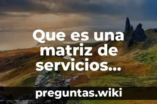 Que es una matriz de servicios collier y meyer