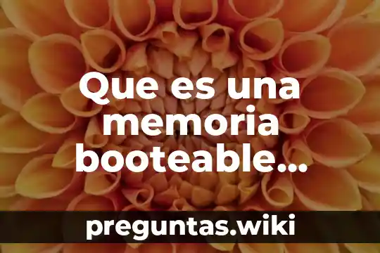 Que es una memoria booteable programa para hacer