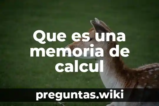 Que es una memoria de calcul
