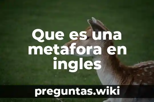 Que es una metafora en ingles