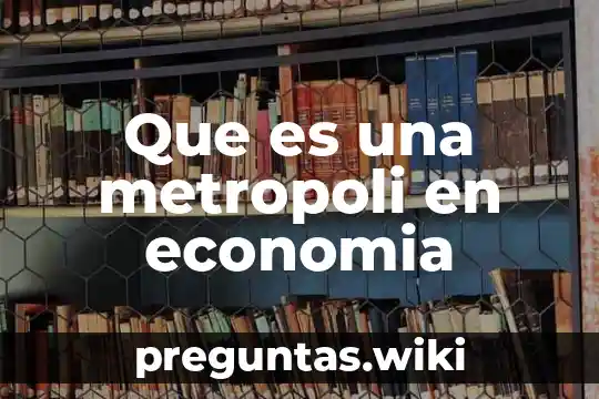 Que es una metropoli en economia