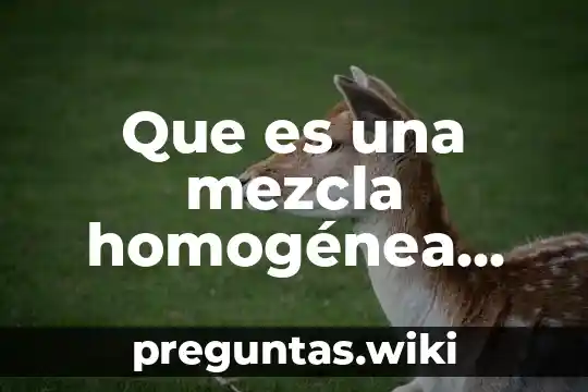 Que es una mezcla homogénea definicion para niños