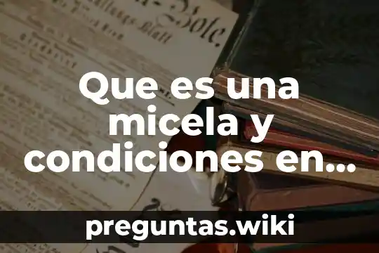 Que es una micela y condiciones en que se forma
